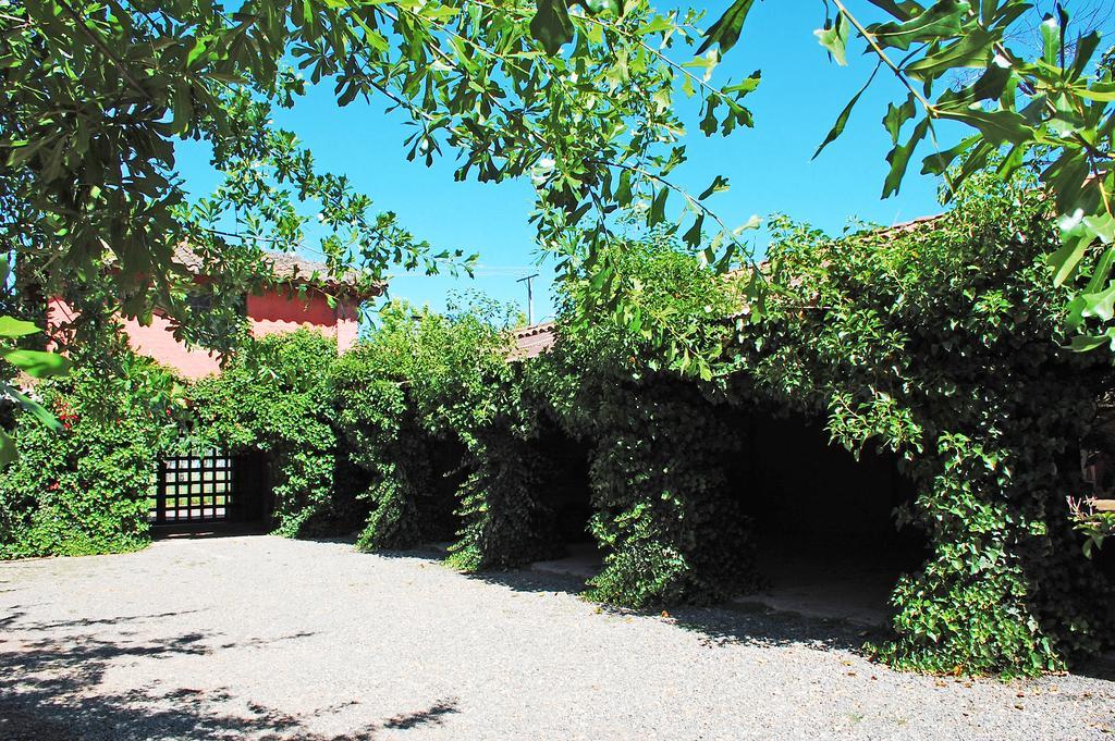 Bed and Breakfast Entre Viñas Santa Cruz Exterior foto